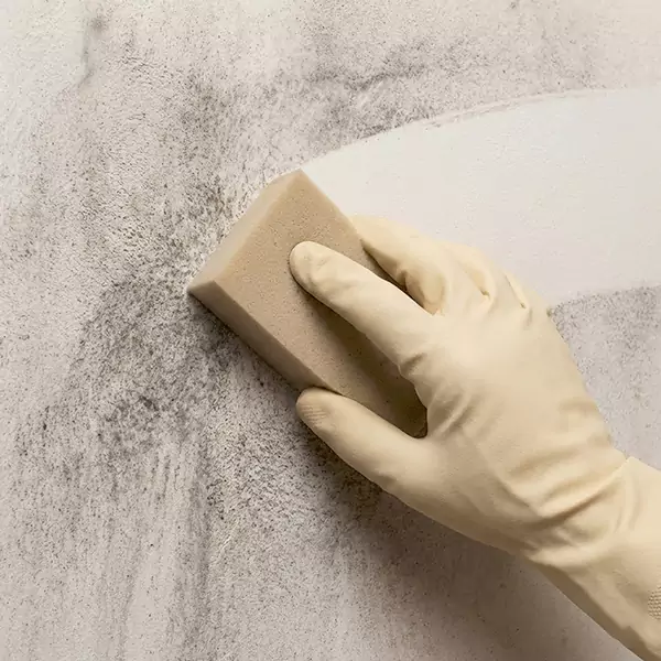 Smoke Cleaning in Boynton Beach, FL 