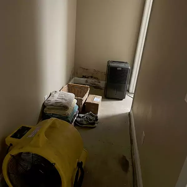 Expert Water Remediation in Boynton Beach, FL 