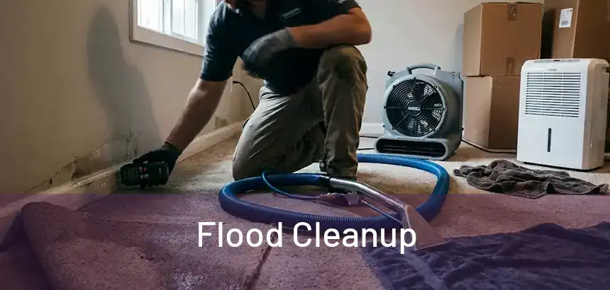  Flood Cleanup 