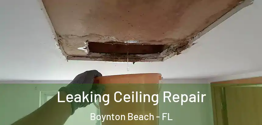  Leaking Ceiling Repair Boynton Beach - FL