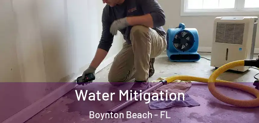  Water Mitigation Boynton Beach - FL